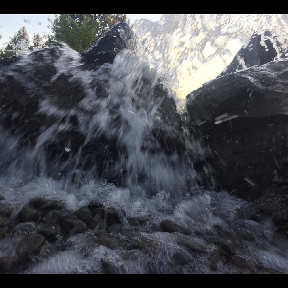 Meet your Posher, Shay